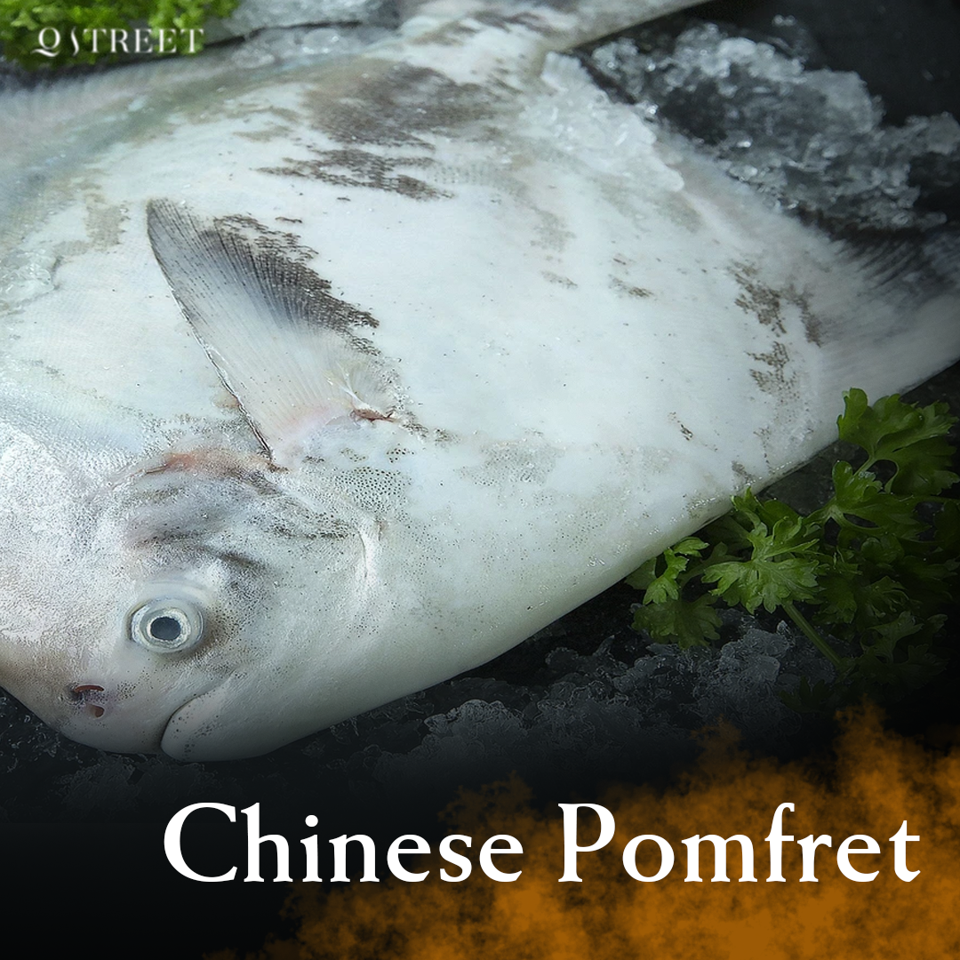 Chinese Pomfret |斗鲳鱼| [500g - 1.4kg]