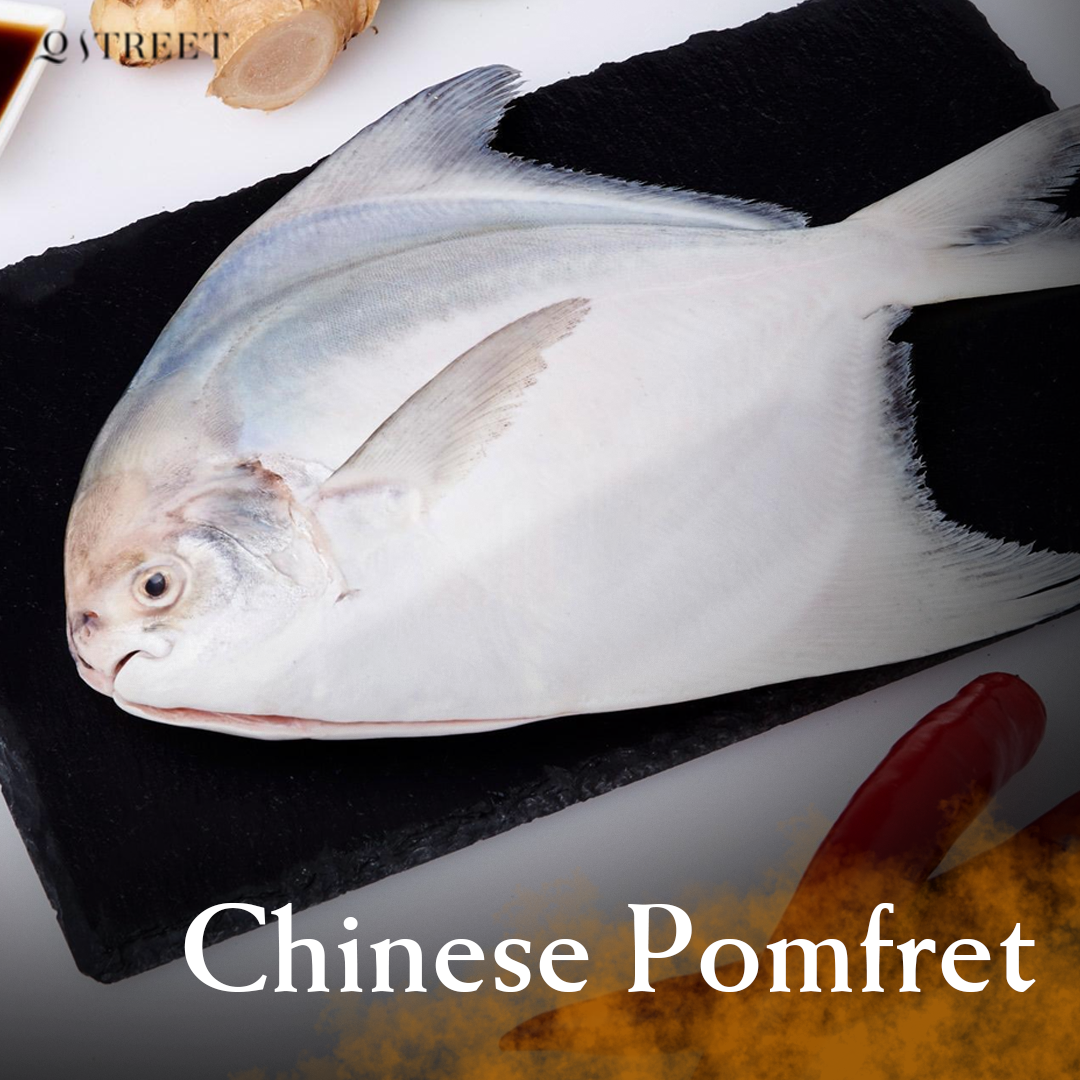 Chinese Pomfret |斗鲳鱼| [500g - 1.4kg]